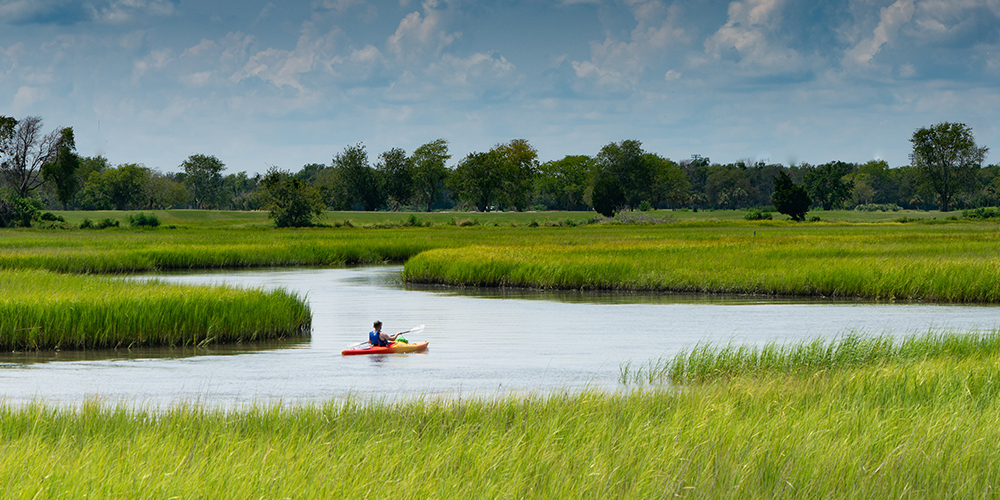 person in kayak in middle of marsh river